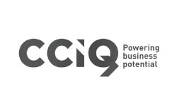 cciq powering business potential